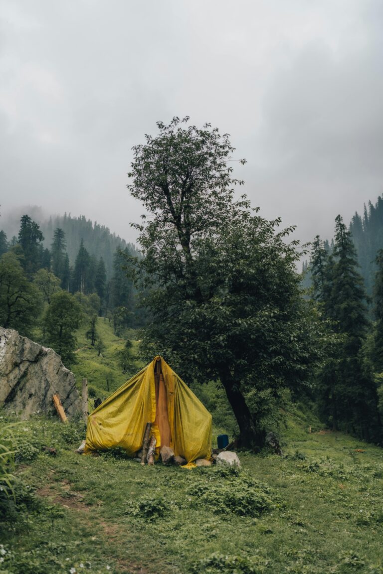 A yellow tent amidst lush greenery and misty forest surroundings, perfect camping scene.